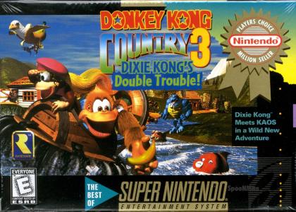 Donkey Kong Country 3 [Player's Choice] cover
