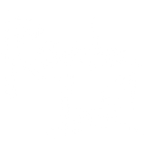 clearlogo(s)
