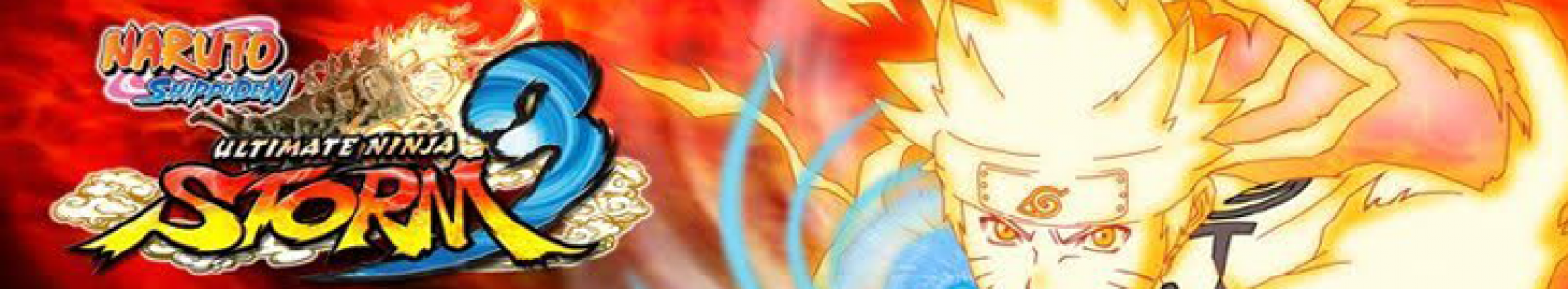 banner(s)