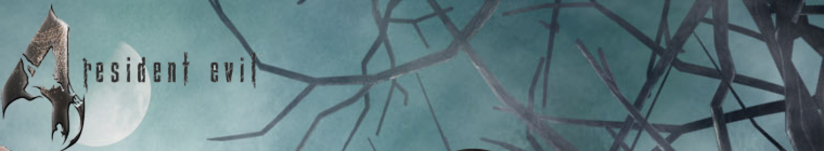 banner(s)