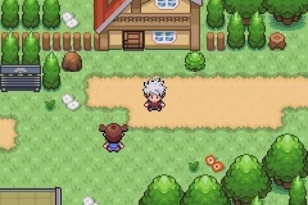 TGDB - Browse - Game - Pokemon Dark Worship